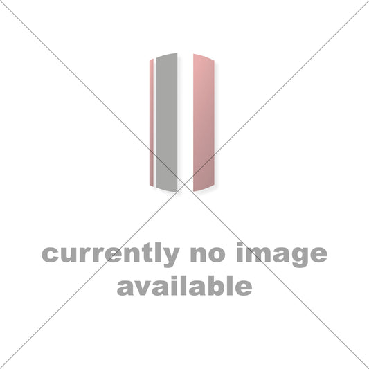 Stiltz Vista Car Shell PC Assembly